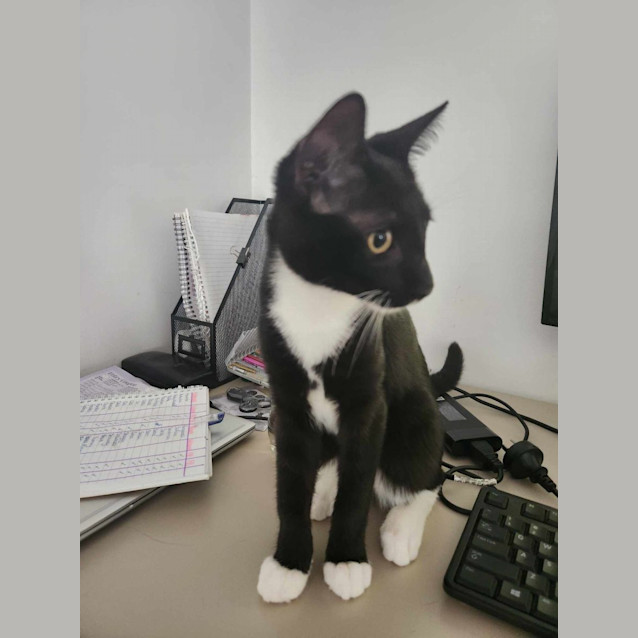 Photo of Baby Kristoff 