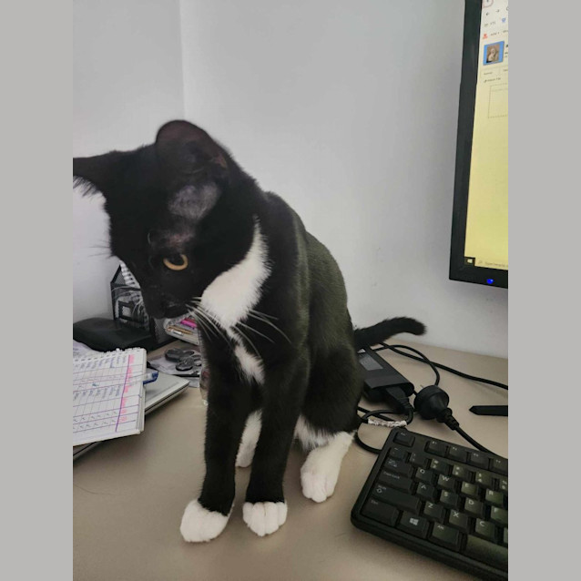 Photo of Baby Kristoff 