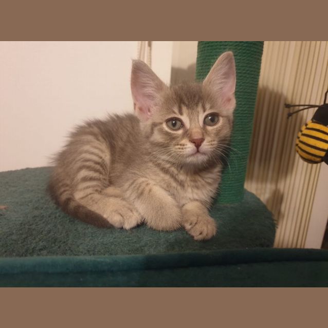 Photo of Fatty Mc Fatterson