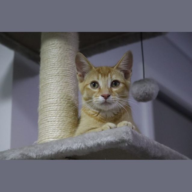 Photo of Bronty
