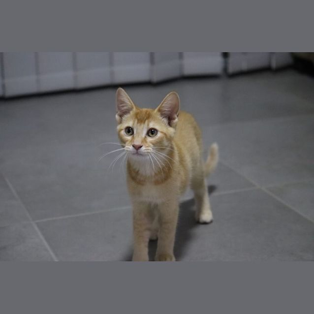 Photo of Bronty