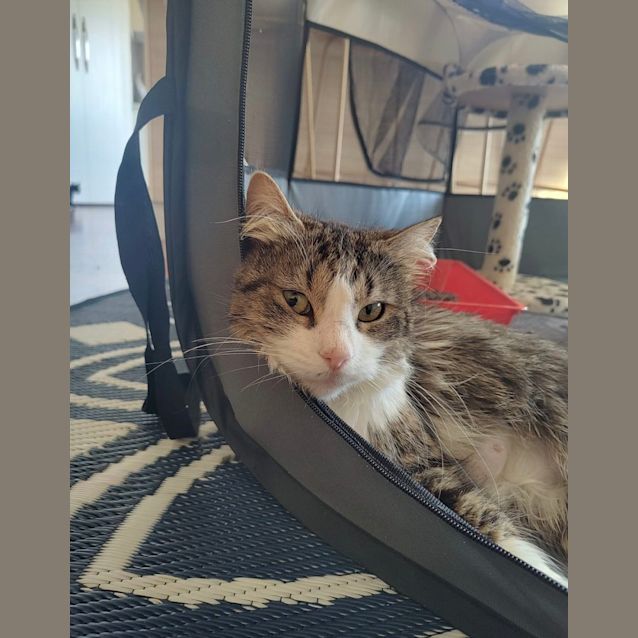 Photo of Bobby