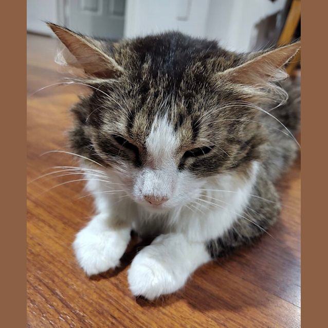 Photo of Bobby