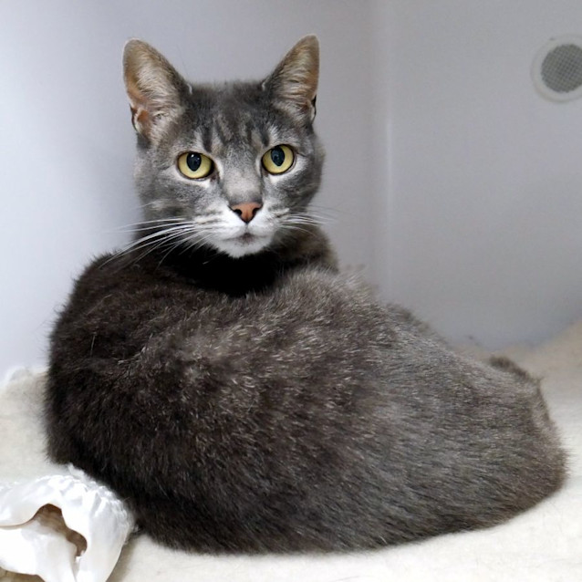 Photo of Fizzy Sua011938