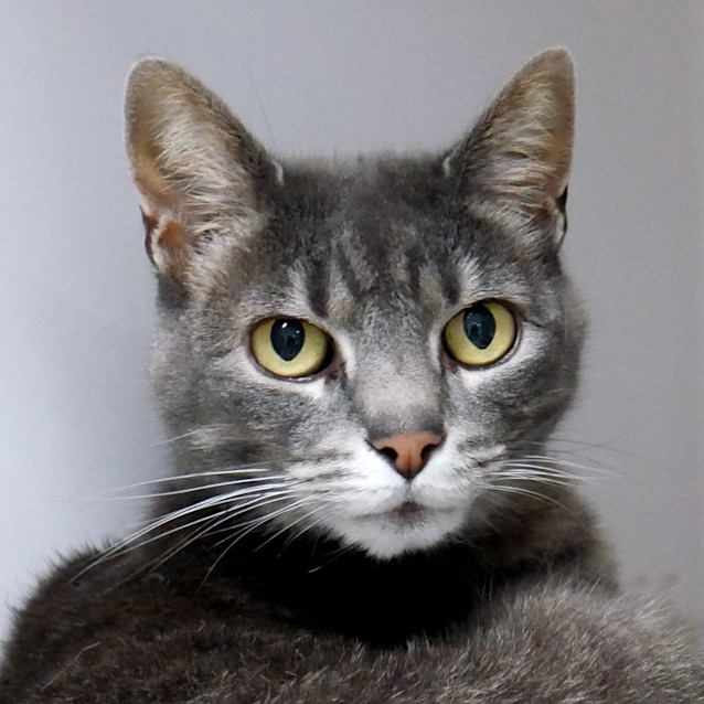 Photo of Fizzy Sua011938