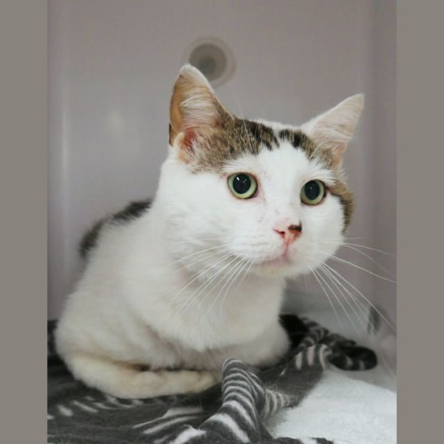 Photo of Pete Sta012076