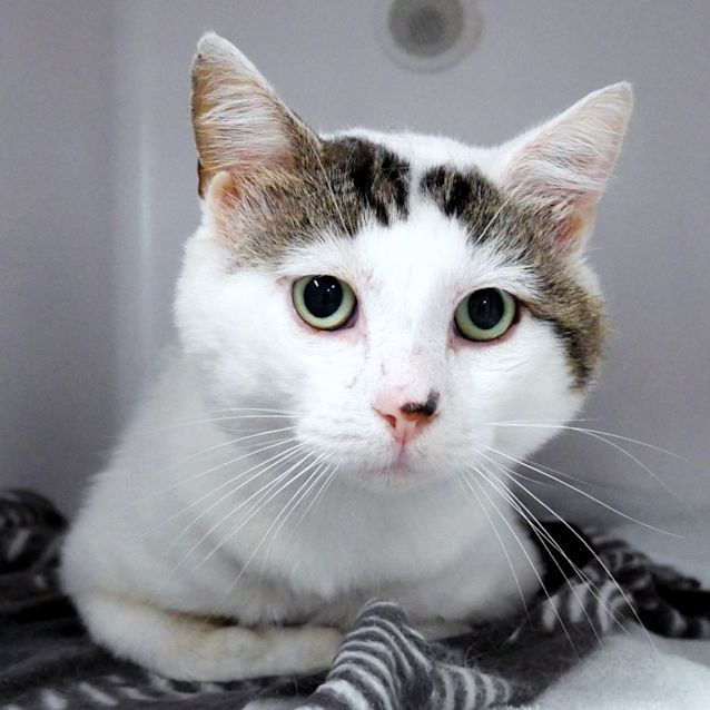 Photo of Pete Sta012076