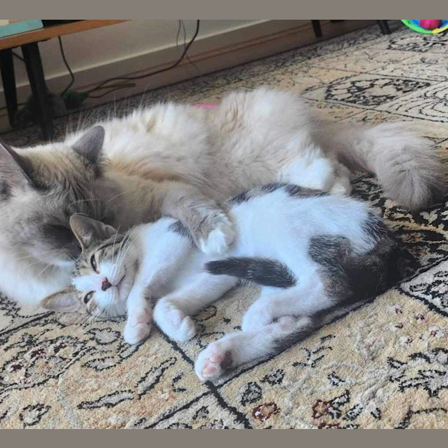 Photo of Hermione And Taro