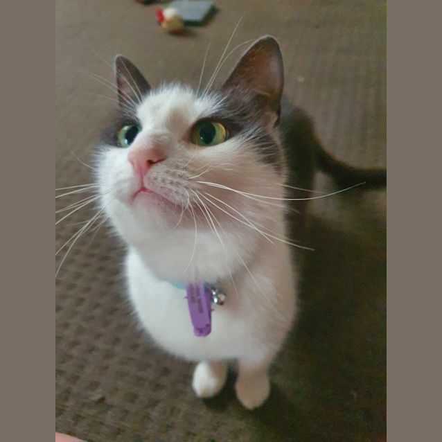 Photo of 🍞 Toast 🍞