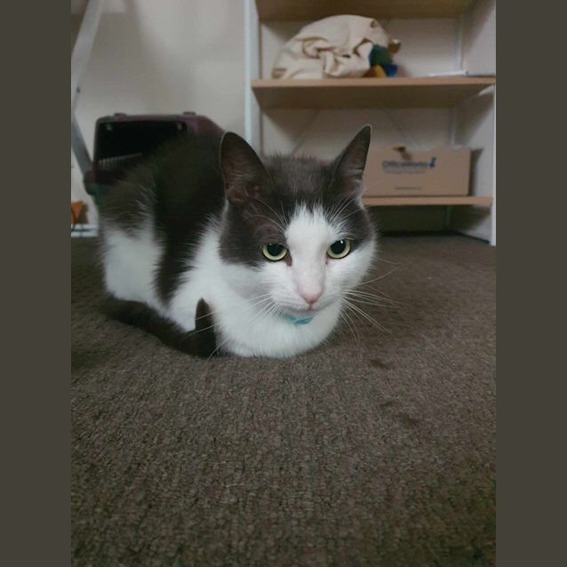 Photo of 🍞 Toast 🍞