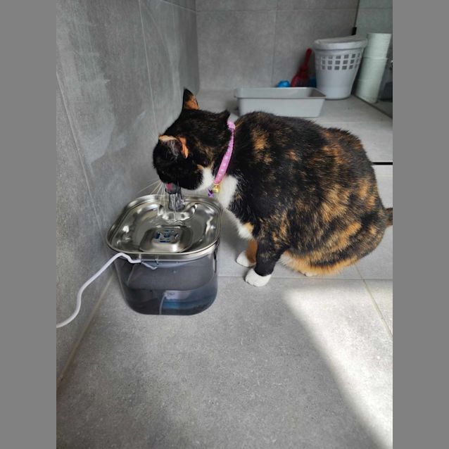 Photo of 🌌 Opal 🌌