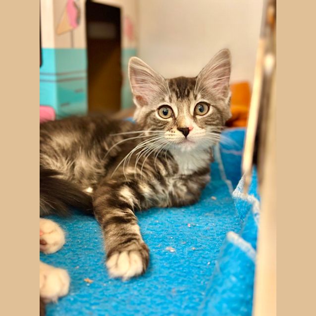 Photo of Asher