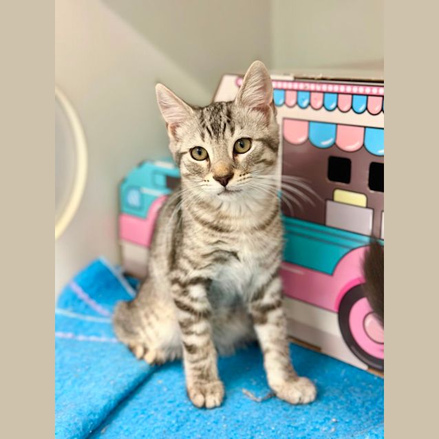 Photo of Sterling