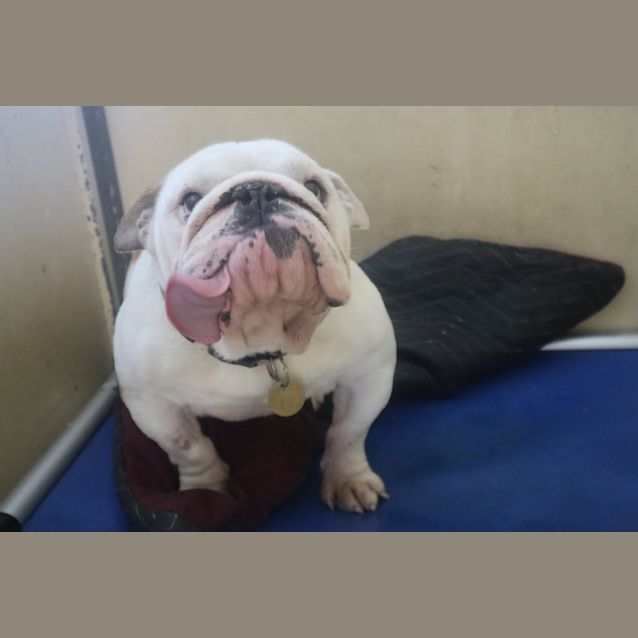 Photo of Tank