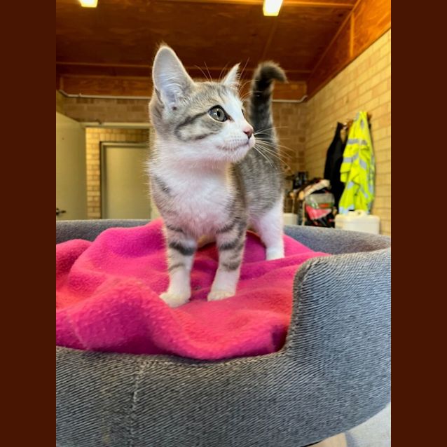 Photo of Lucy