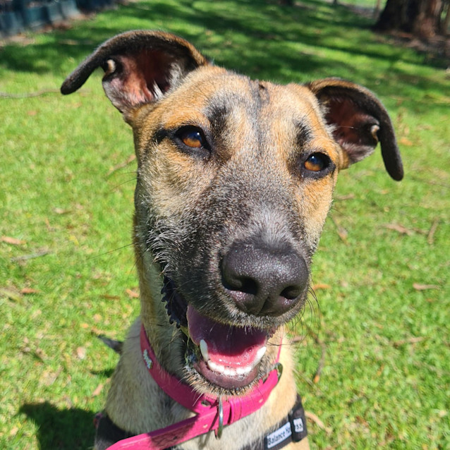 Photo of Tilly