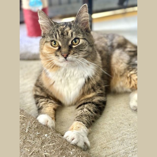 Photo of Shelly