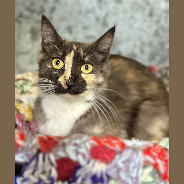 Photo of Sylvia