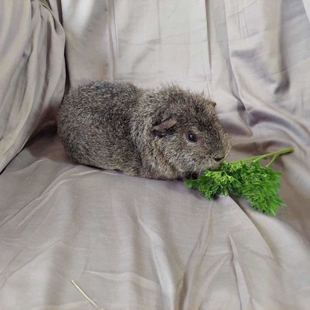 Photo of Yuki
