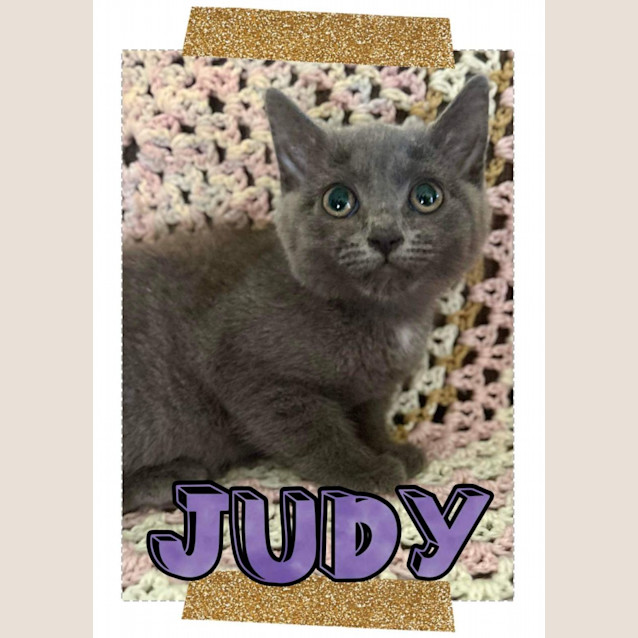 Photo of Judy 