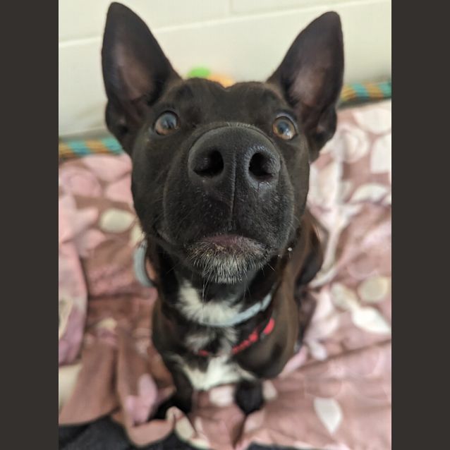Photo of Zeus