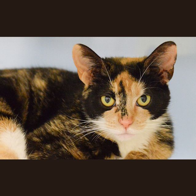 Photo of Cindy