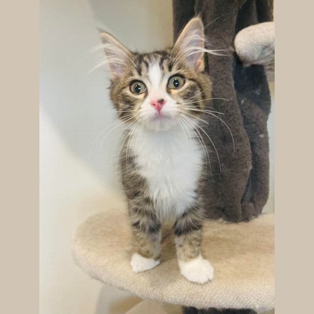 Photo of Natasha   Located In Preston