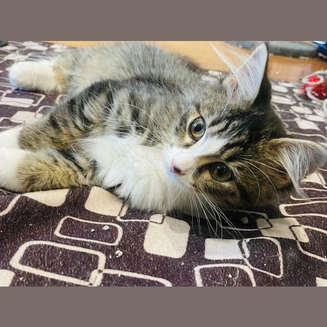 Photo of Natasha   Located In Preston