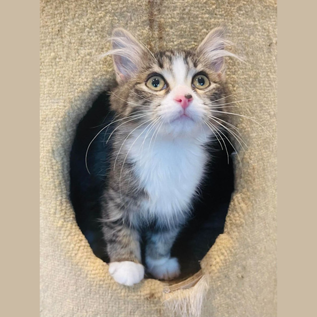 Photo of Natasha   Located In Preston