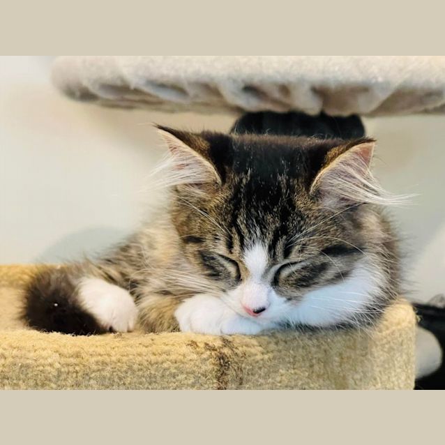 Photo of Natasha   Located In Preston