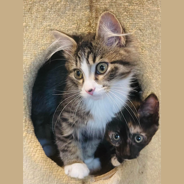 Photo of Natasha   Located In Preston