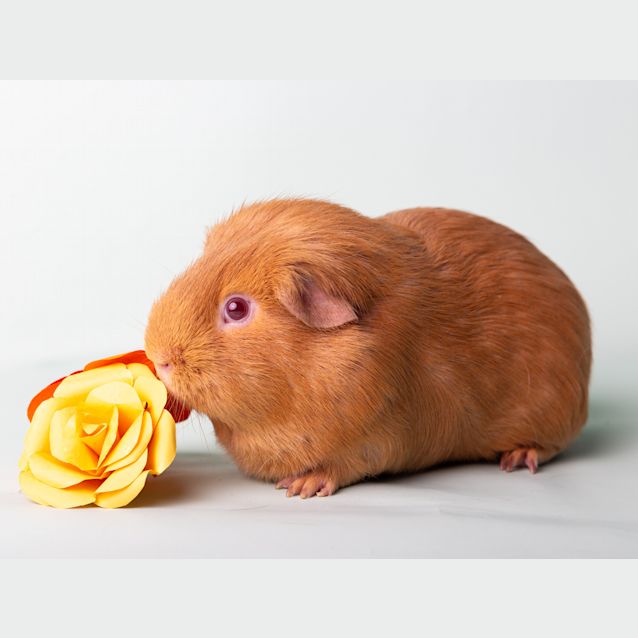 Photo of Parker