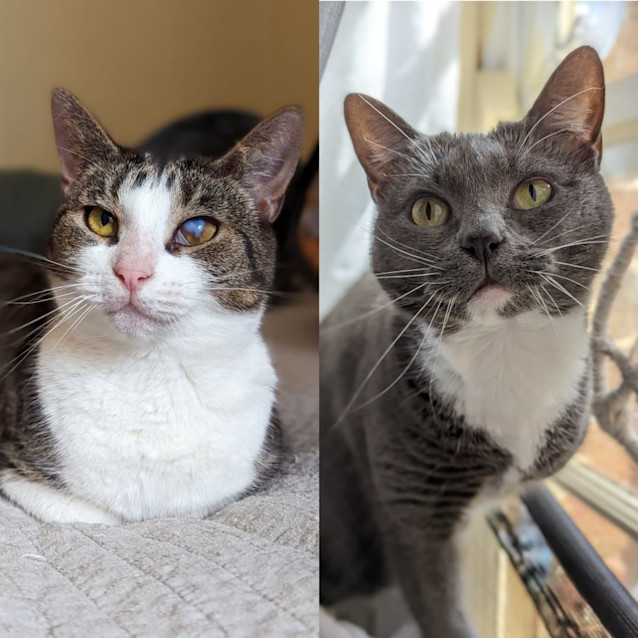 Photo of Luna & Olive