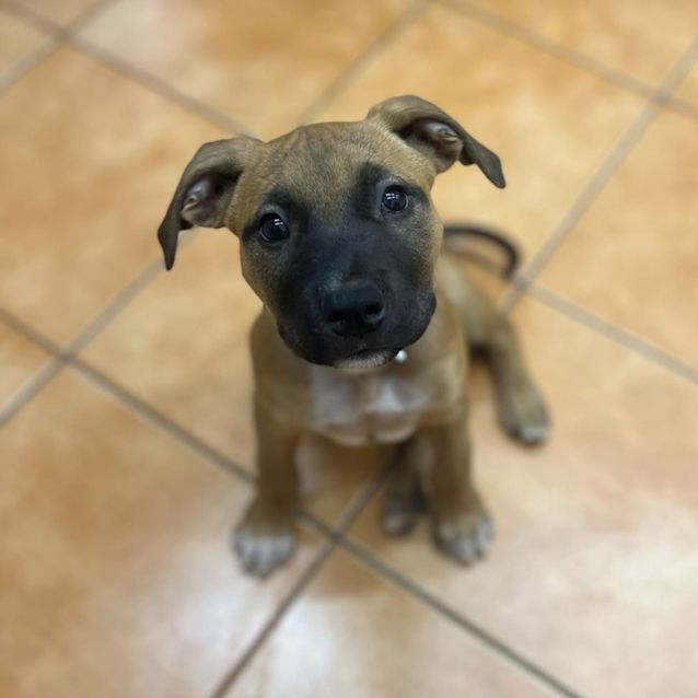 Photo of Ned (Radar)