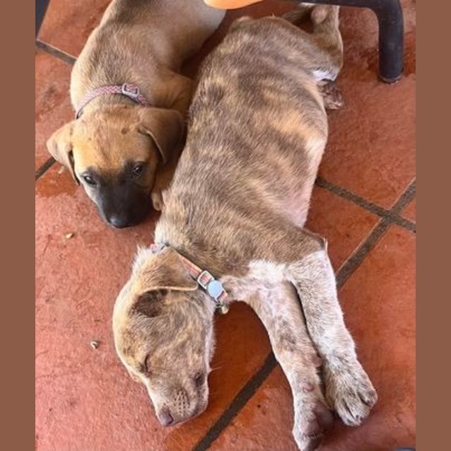 Photo of Ned (Radar)