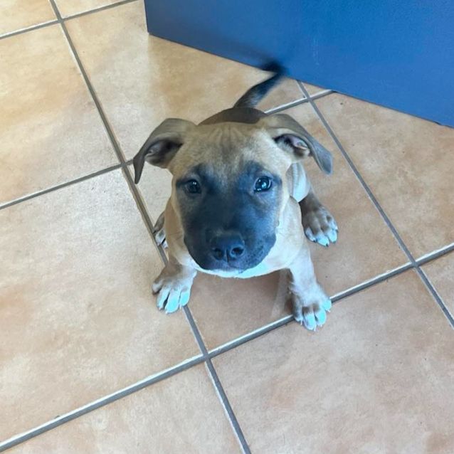 Photo of Ned (Radar)