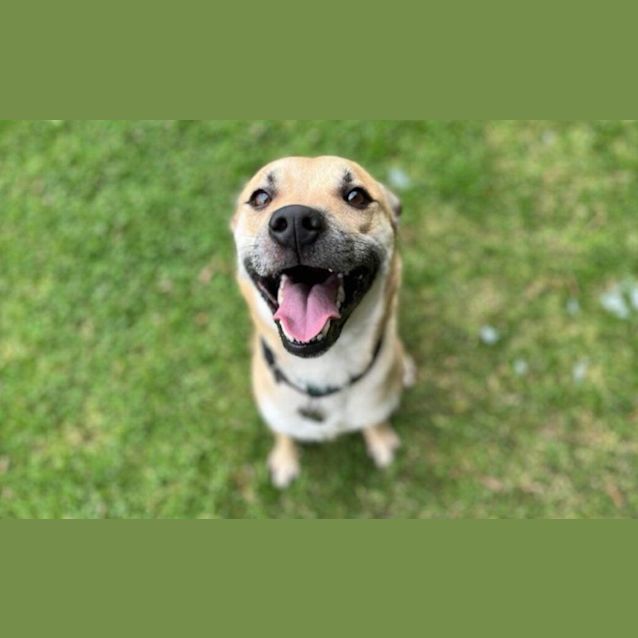 Photo of Smiley Miley