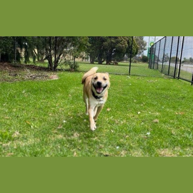 Photo of Smiley Miley