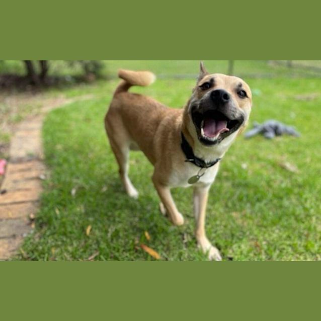 Photo of Smiley Miley