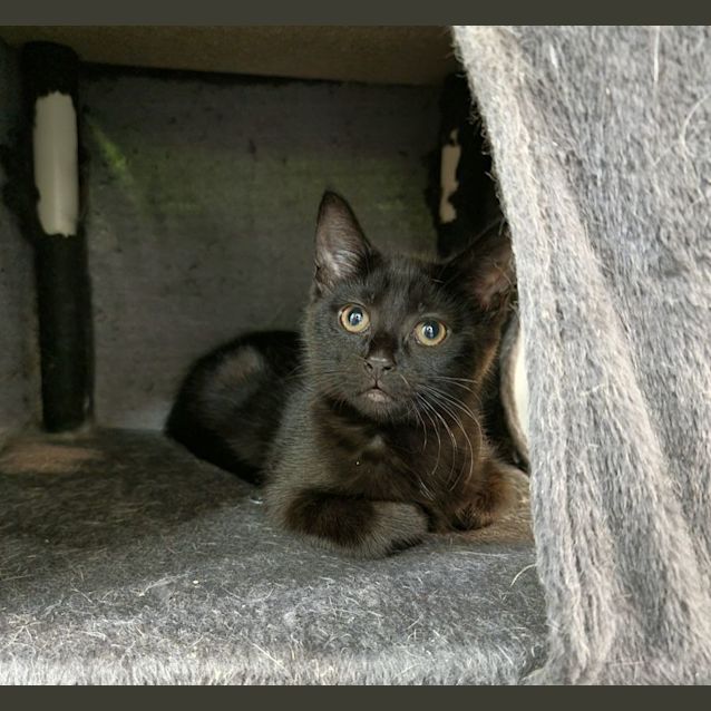 Photo of Twinkle