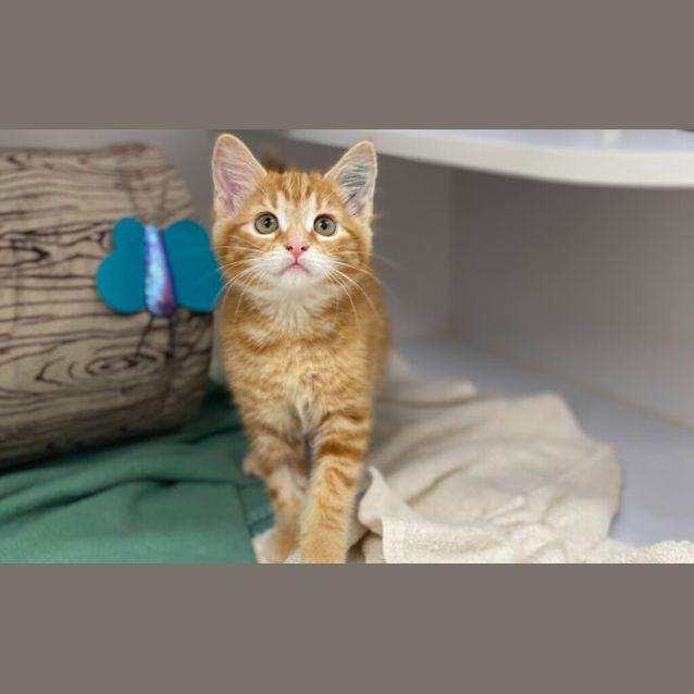 Photo of Zoe