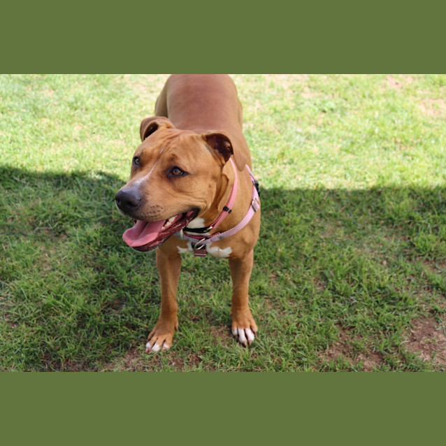 Photo of Loca