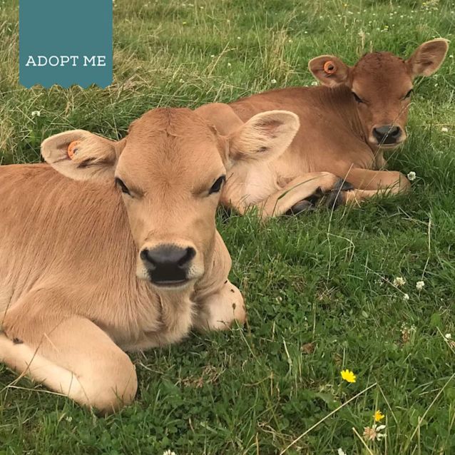 Photo of Mickey And Minnie