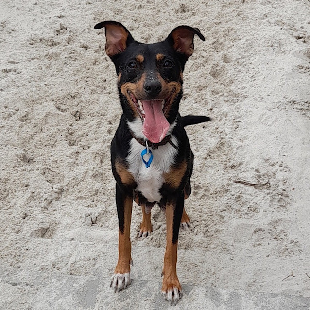 Photo of Missy