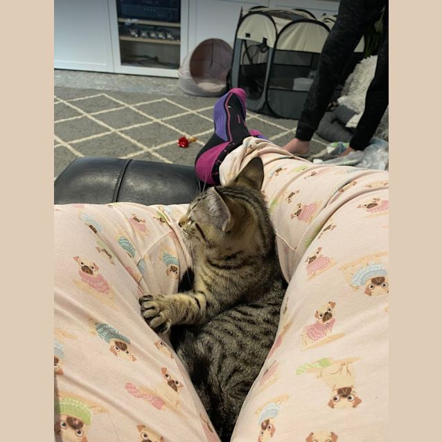 Photo of Minx