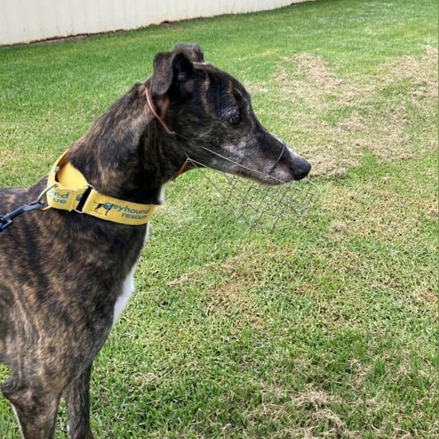 Photo of Mr Sparkles