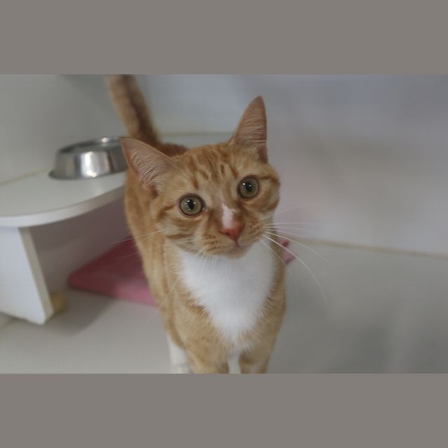 Photo of Sugar