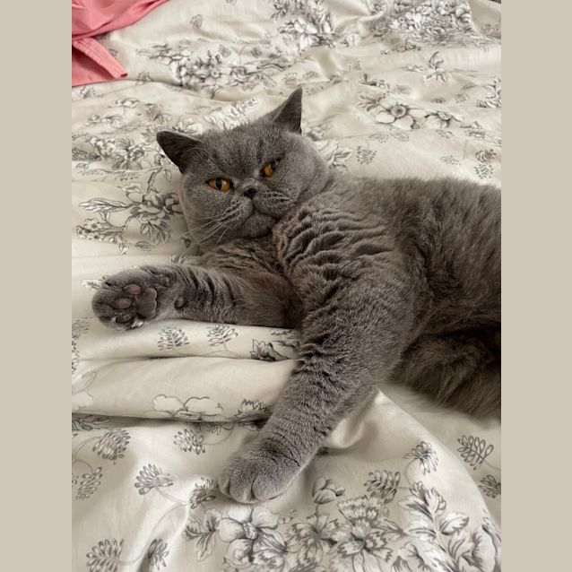 Photo of Susan
