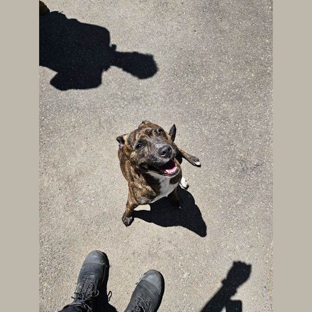 Photo of Brinny