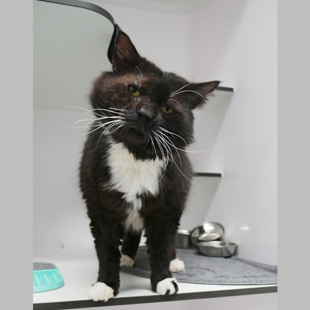 Photo of Tommy Sta011760